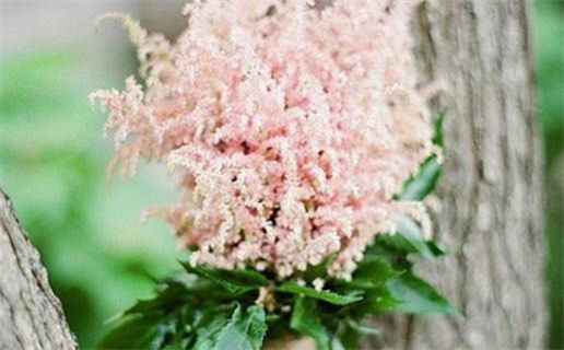 2028年农历六月廿八结婚日子如何 今日办婚礼好吗