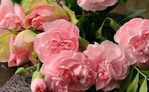 2029年02月22日结婚吉日查询 办喜事吉利吗