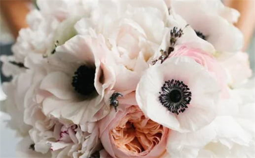 2030年01月23日领证黄道吉日 宜登记领证吉日查询