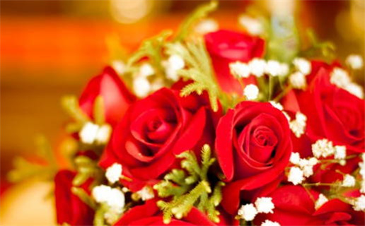 2031年06月05日领证日子如何 领证吉利吗