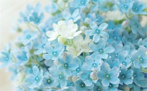 2030年农历冬月十八领证吉日查询 是登记领证好日子吗