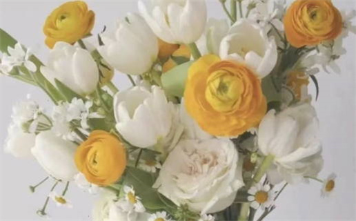 2031年01月31日领证吉日查询 今日登记领证好吗