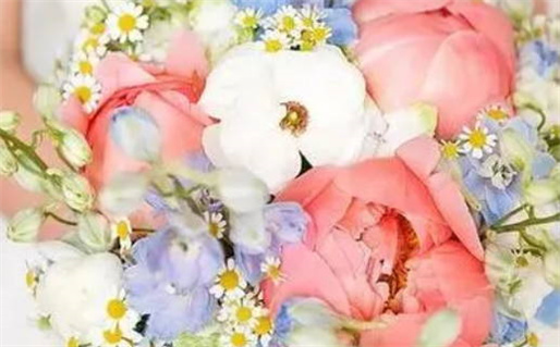 2029年04月09日是不是领证吉日 今日登记领证好吗