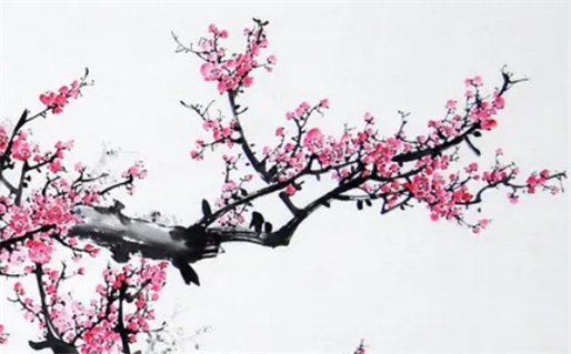 2026年07月20日领证好吗 今日登记结婚好不好