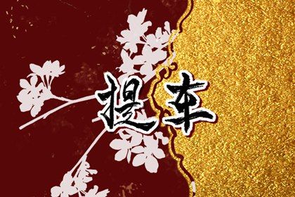 2028年农历腊月廿八提车好不好 今日买新车好吗