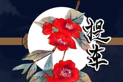 2030年04月08日提车好吗 今日提车买车好吗