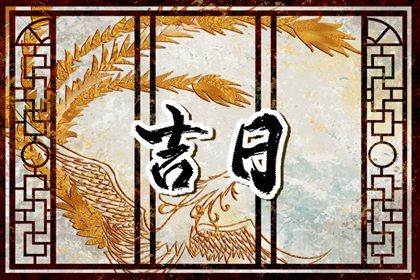 2025年08月01日提车吉日查询 今日提车买车好不好