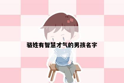 骆姓有智慧才气的男孩名字